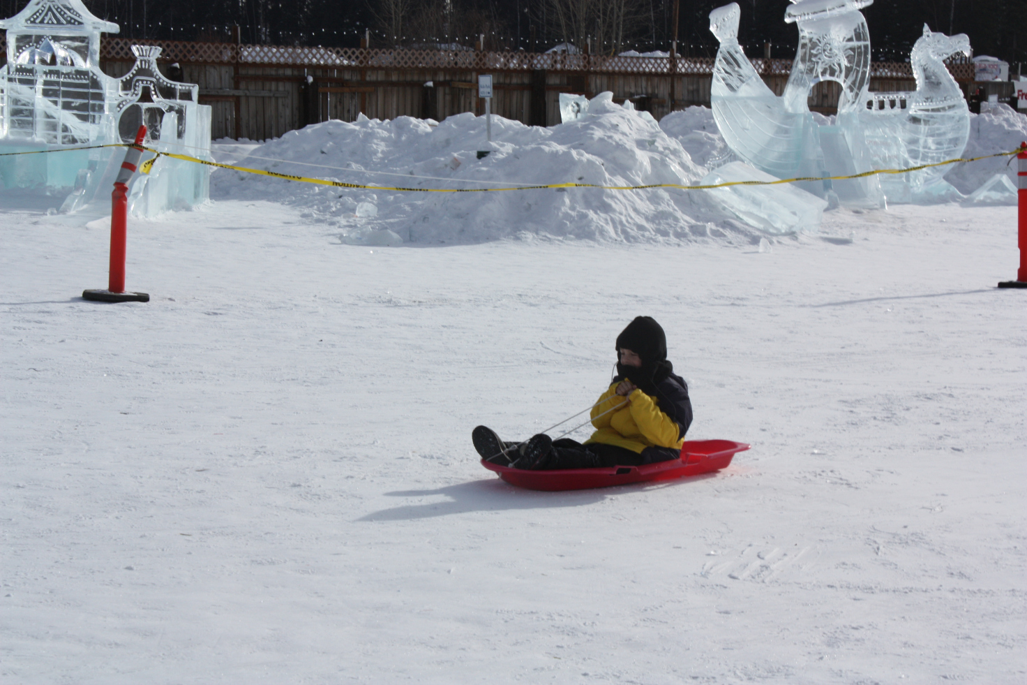 Sledding at the Ice Festival