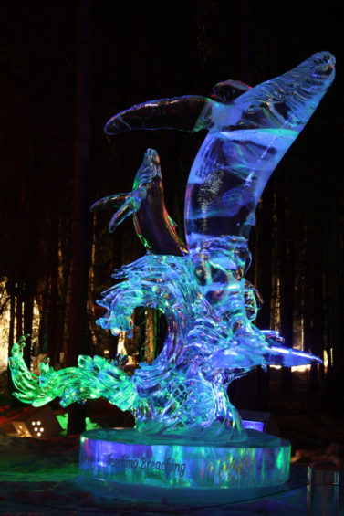 Fairbanks Ice Festival - 6